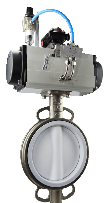 Butterfly Valve for Semiconductor