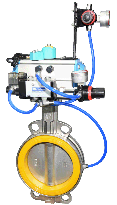 Butterfly Valve for Dry bulk and Slurry